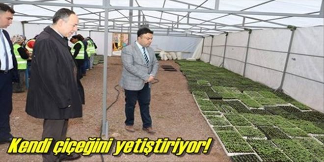 Mevsimlik çiçekler üretiliyor