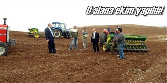 Yapay merada ekim yapıldı