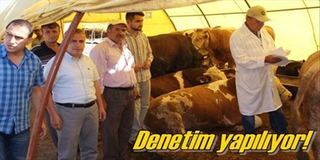 Pazar ve yol denetimi artırıldı