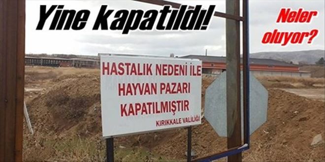 Hayvan pazarı kapatıldı