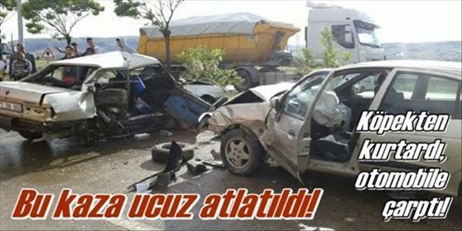 Köpekten kurtardı, otomobile çarptı!