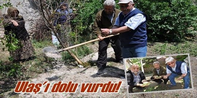 Ulaş´ı dolu vurdu!