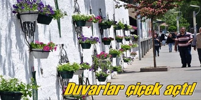 Duvarlar çiçek açtı