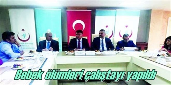 Bebek ölümleri çalıştayı yapıldı