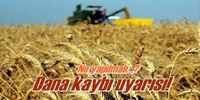 Dane kaybı uyarısı!
