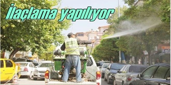 Sineklerle mücadele başlatıldı