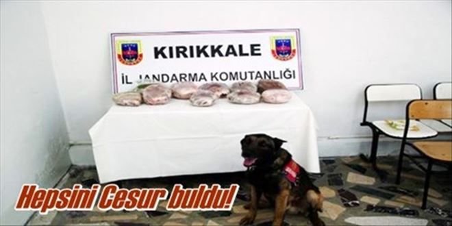 CESUR´DAN KAÇAMADILAR!