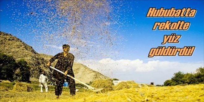 Hububat verimi yüksek