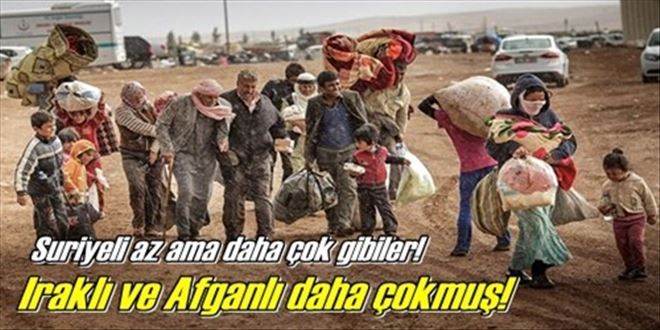 En fazla Iraklı ve Afganlı var!