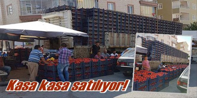 Salçalık domatese ilgi yüksek