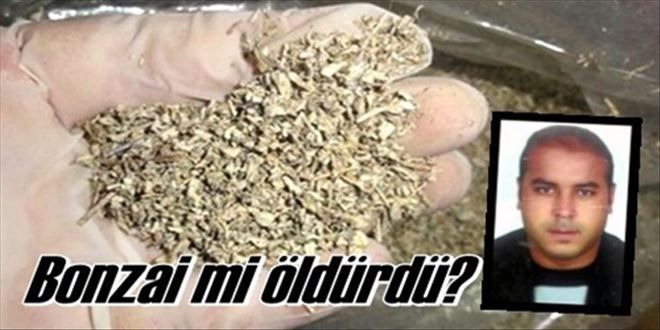 Bonzaiden mi öldü!