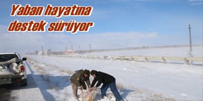 Yaban hayatına destek sürüyor