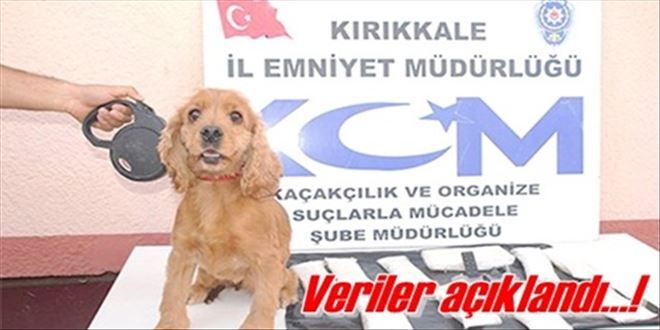 8 bin 779 kişiye işlem yapıldı