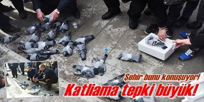 Katliam araştırılıyor!