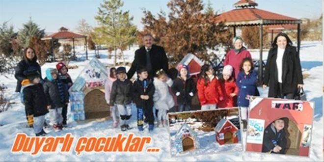 Sokak köpeklerine barınak yaptılar
