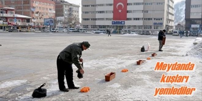 Meydanda kuşlara yem bırakıldı