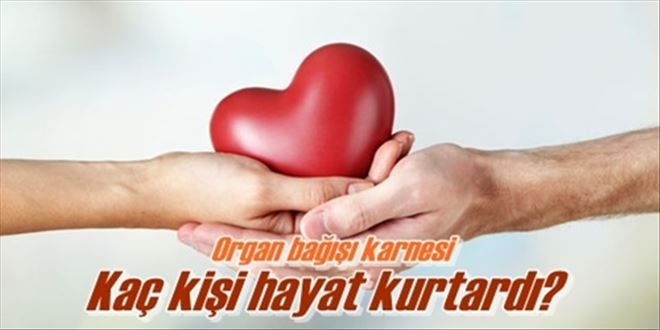 67 kişi hayat kurtardı