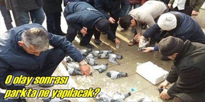 Parkta dezenfekte çalışması yapıldı