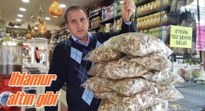 Ihlamur altın gibi