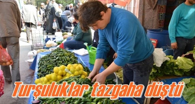 Turşuluklar tezgaha düştü