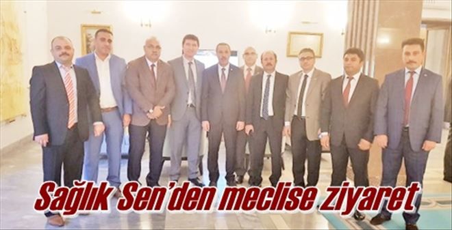 Sağlık Sen´den meclise ziyaret