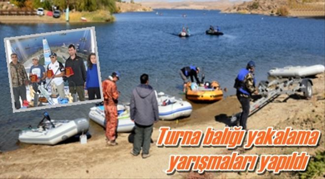 Turna balığı yakalama  yarışmaları yapıldı