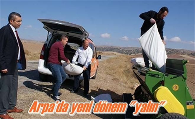Arpa´da yeni dönem ??YALIN?