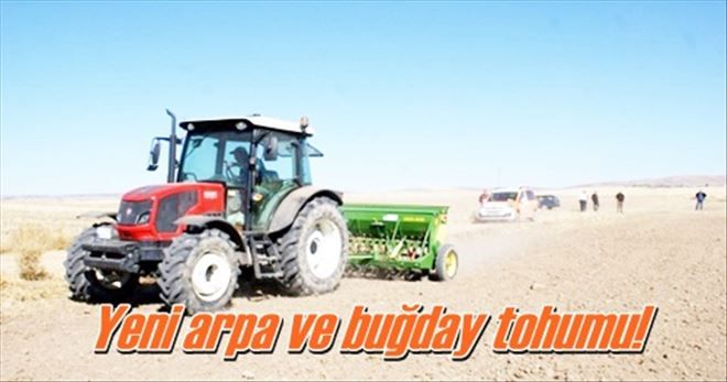 Yeni arpa ve buğday tohumu!