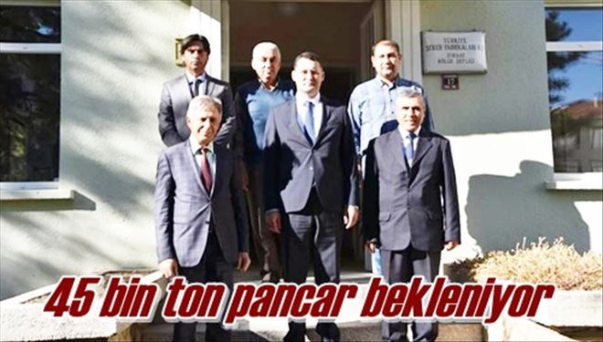 45 bin ton pancar bekleniyor