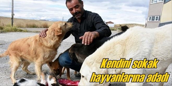 Kendini sokak hayvanlarına adadı