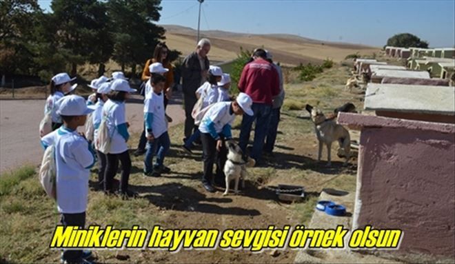 Miniklerin hayvan sevgisi örnek olsun