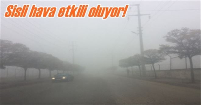 Sisli hava etkili oluyor!