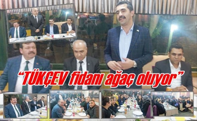 ?TÜKÇEV fidanı ağaç oluyor?