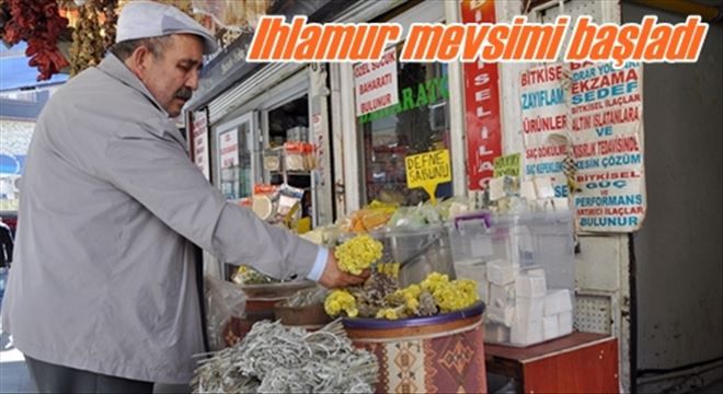 Şimdi ıhlamur zamanı