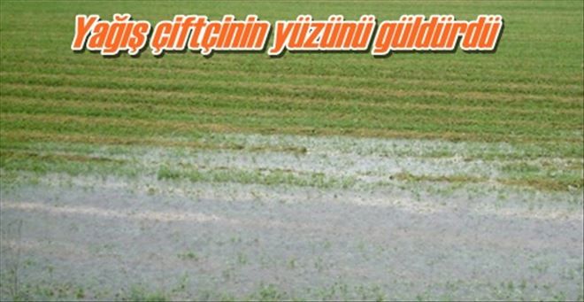 Yağış çiftçinin yüzünü güldürdü