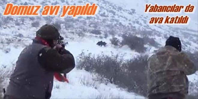Domuz avı yaptılar!