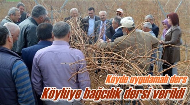 Bağcılık eğitimi verildi