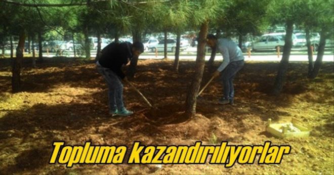 Hayata kazandırılıyorlar