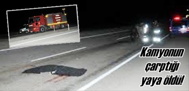 Kamyonetin çarptığı yaya öldü 