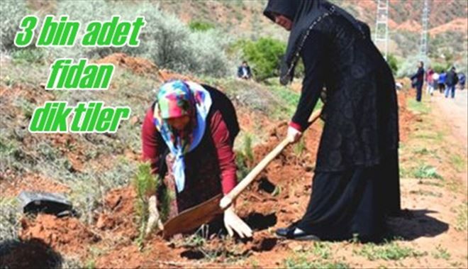 3 bin fidan toprakla buluştu