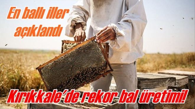 En ballı iller belli oldu