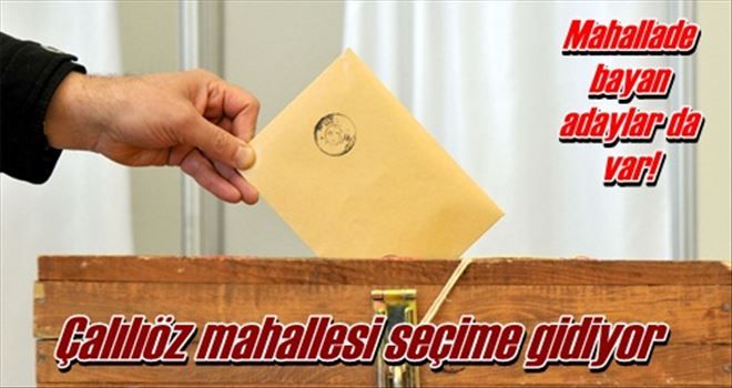 Çalılıöz seçime gidiyor