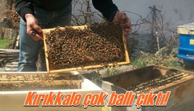 Kırıkkale bal gibi oldu