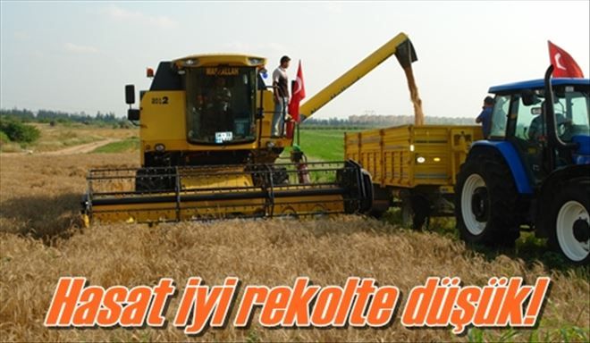 Kalite yüksek, rekolte düşük!