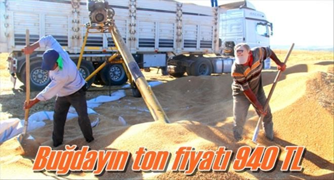 Buğdayın ton fiyatı 940 TL