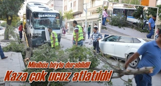 Freni patlayan minibüs ağacı yıktı!