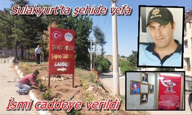 Sulakyurt´ta şehide vefa