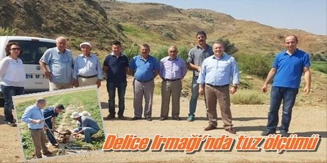 Delice Irmağı´nda tuz ölçümü