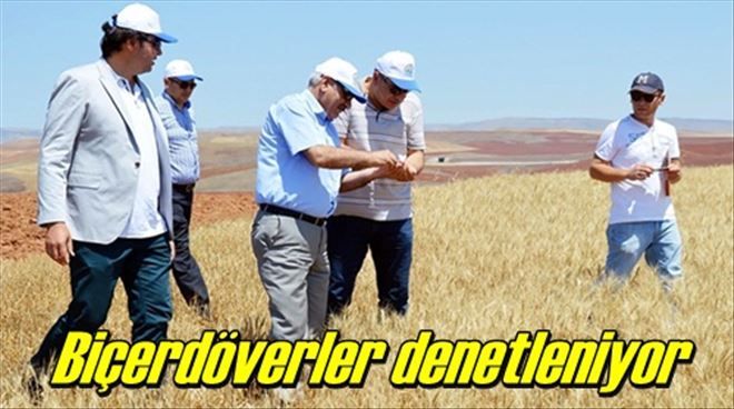 Biçerdöverler denetleniyor