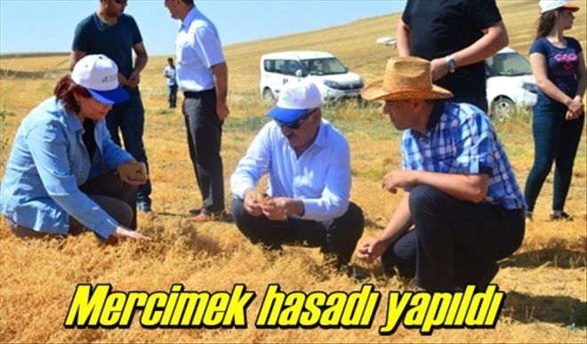 ?İşimiz yenilik ve kolaylık sunmak?